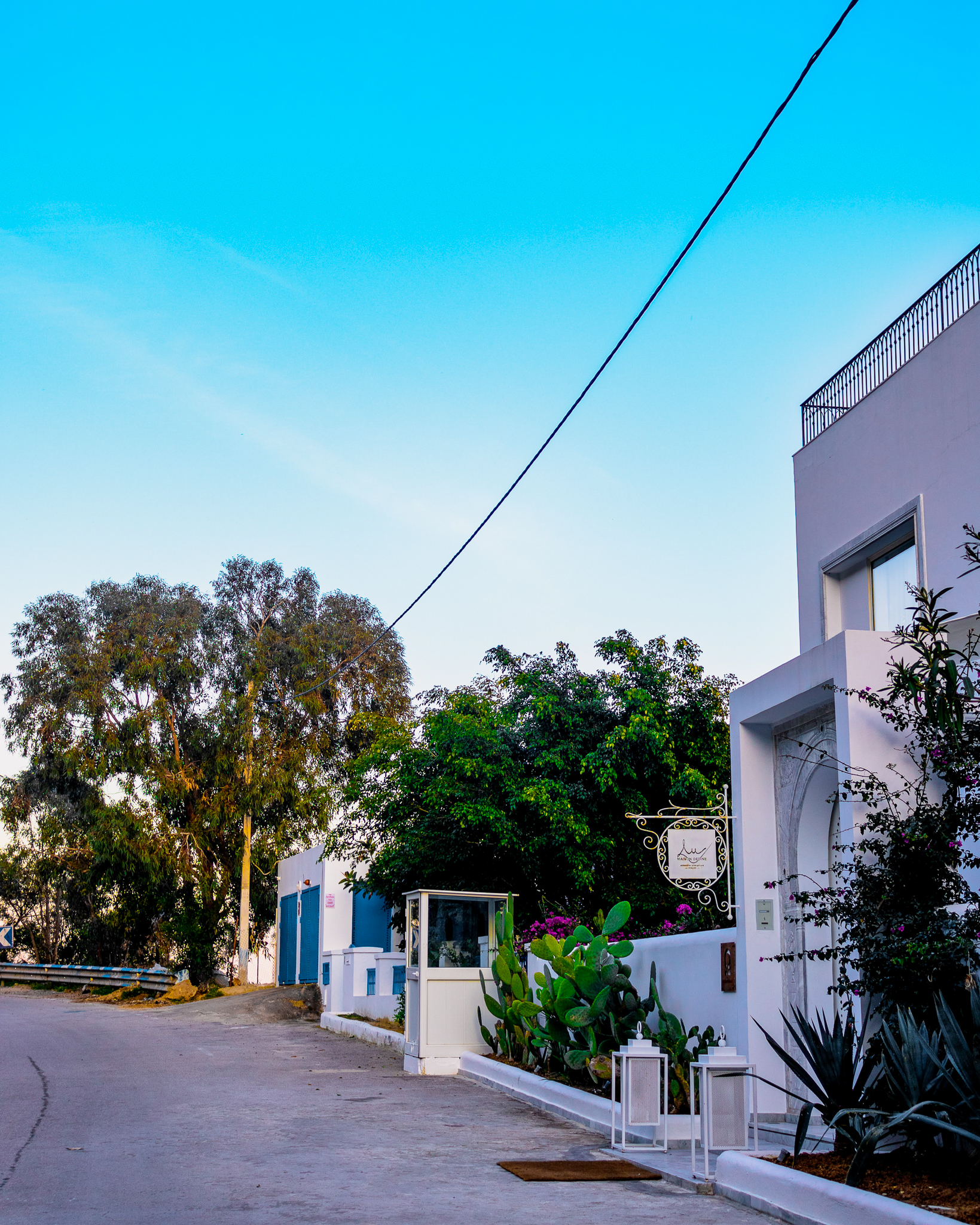 Landscape Collection